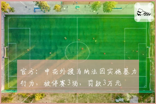 官方：申花外援马纳法因实施暴力行为，被停赛3场，罚款3万元