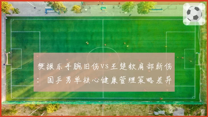 樊振东手腕旧伤vs王楚钦肩部新伤：国乒男单核心健康管理策略差异